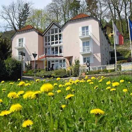 Altstadthotel An Der Werra Meiningen Exteriör bild